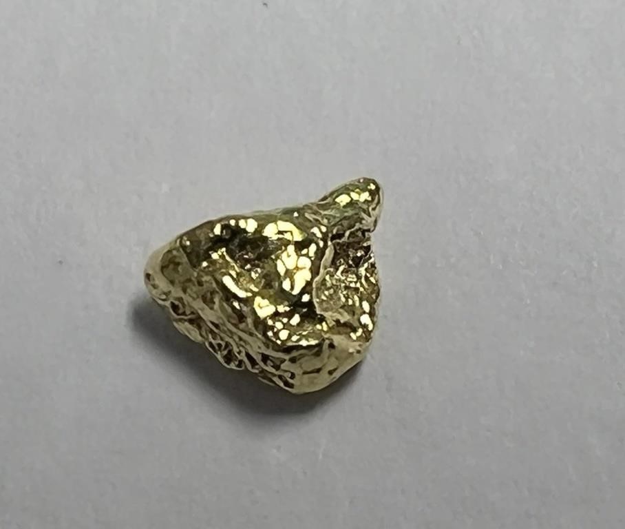 .2 Gram Small REAL Gold Nugget