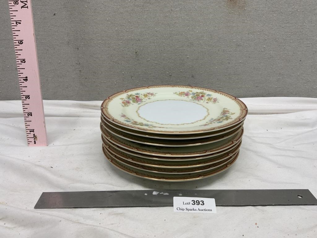 Vintage Noritake Georgette China Plates