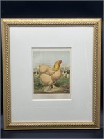 Antique Framed Print- Buff Cochin Chickens