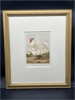 Antique Framed Print - White Dorking Chickens