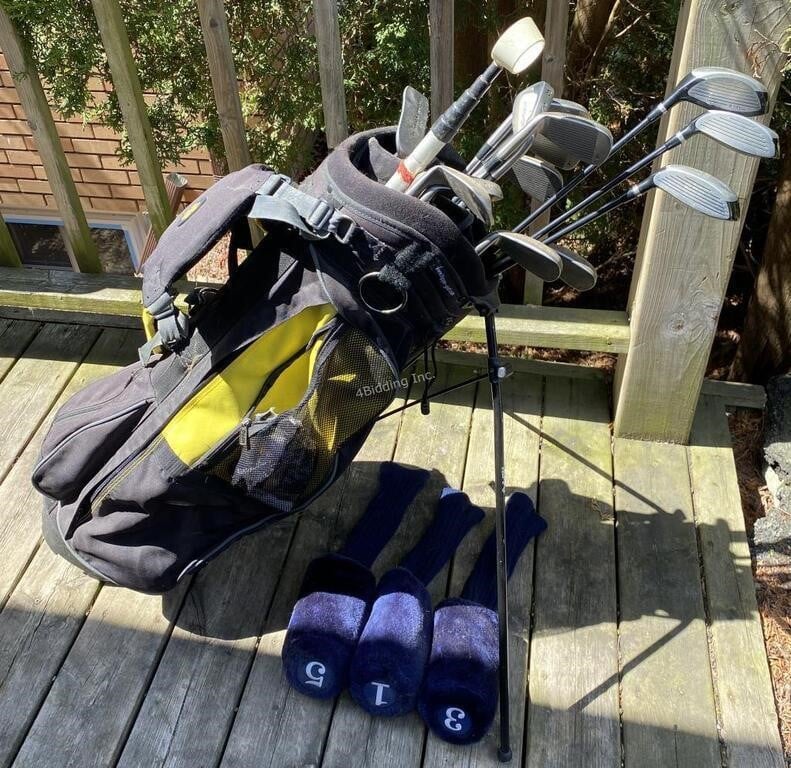 Hippo golf bag & 14 golf clubs - X