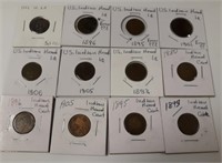 Lot of 12 Indian Head Cents