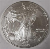 2004 Silver Eagle Dollar