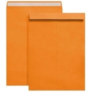 (Sealed/Pack) Orange Self-Seal Catalog
6" x 9"