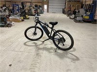 Raleigh E-Bike