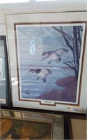 SIGNED AND NUMBERED PRINT- DRAKE CANVASBACK