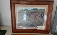 FRAMED - BOY AND HIS COLT- 
JIM DALY 1979