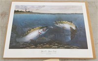 BITES ON- BROWN TROUT- SIGNED AND NUMBERED