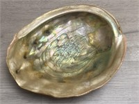 Abalone Shell Trinket Tray