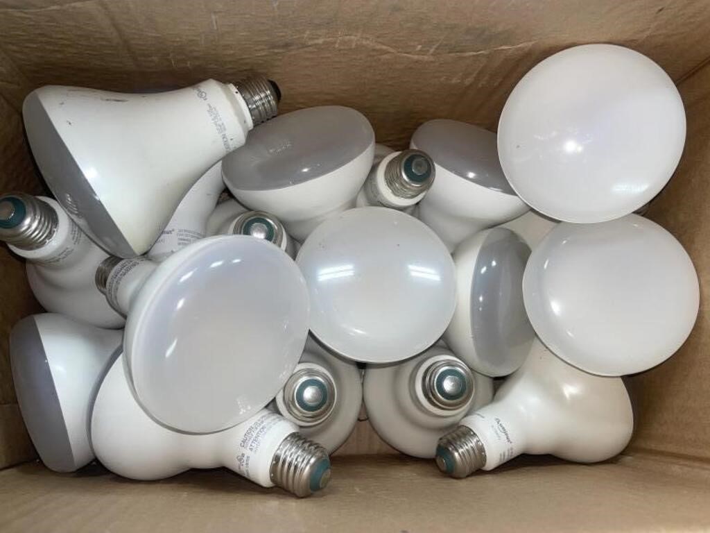 Box of 18 Luminus LED dimmable 12W bulbs.