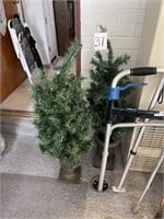 pair of potted trees home decor