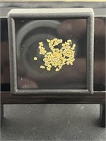 2.5 Carat Weight Natural Alaskan Gold Nuggets
