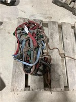 Horse Halters And Bridles
