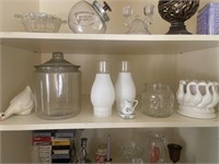 Shelf Clean Out Lot (Middle Shelf ONLY)