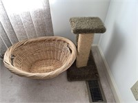 Cat Tower and Basket