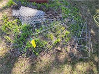 Tomato cages & fence