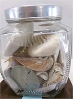 EARLY CRACKER JAR WITH LID FILLED WITH SEASHELLS