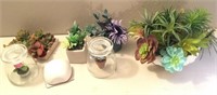 Faux Succulents, Glass Terrariums Etc