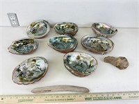 Lot of Abalone shells
