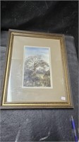 1978 16" X 13" Signed Framed Watercolor