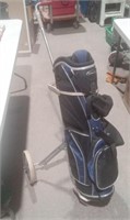 Golf Caddy W/ Wilson Bag