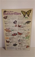Butterflies Laminate On Board Print 22x34"