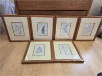 Lot of 6 Framed Botanical Art Prints