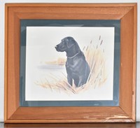 Framed Print of Labrador on Watch by Elliott