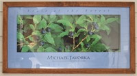 Fruit of the Forest by Michael Javorka Print