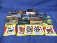 Dinosaur stickers and cards