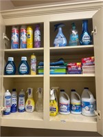 Cabinet of cleaners, bleach, starch, dawn- all