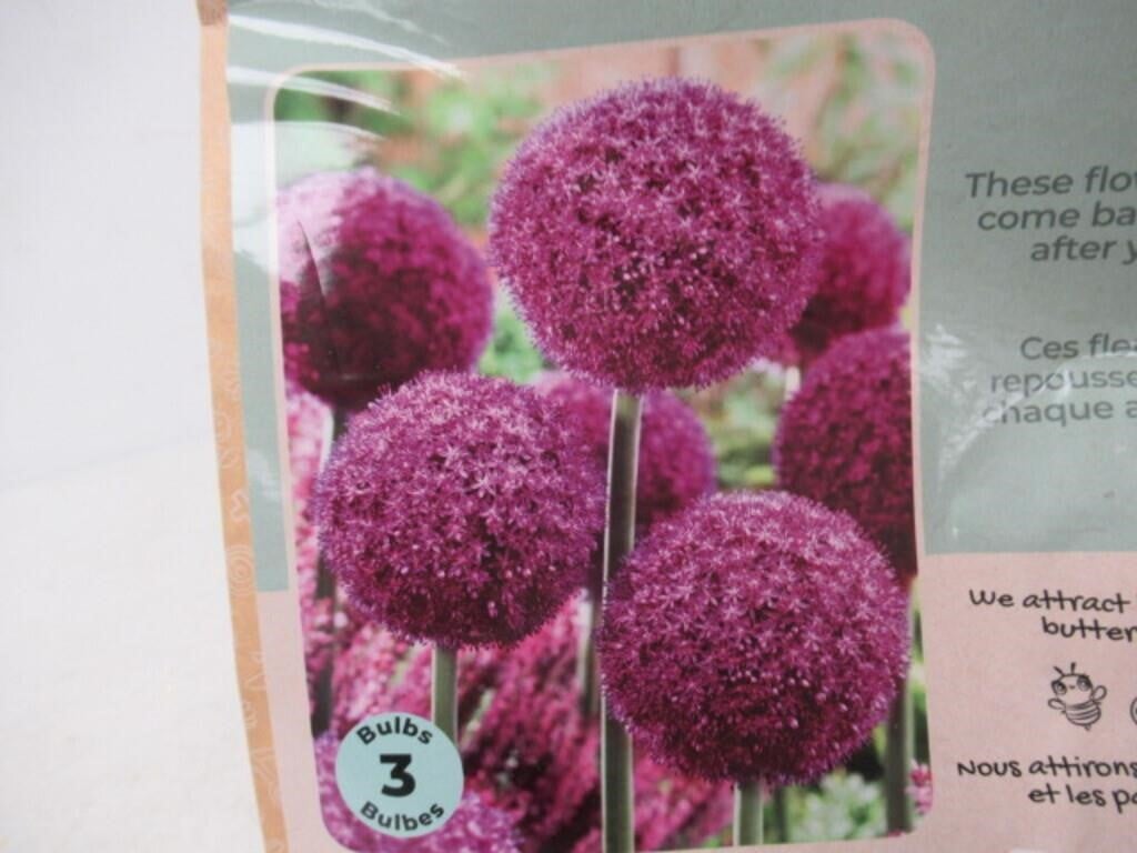 3-Pk Tasc Allium Ambassador Bulbs