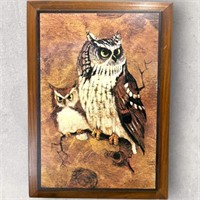 Owl Picture 15" x 21" Richard Screech