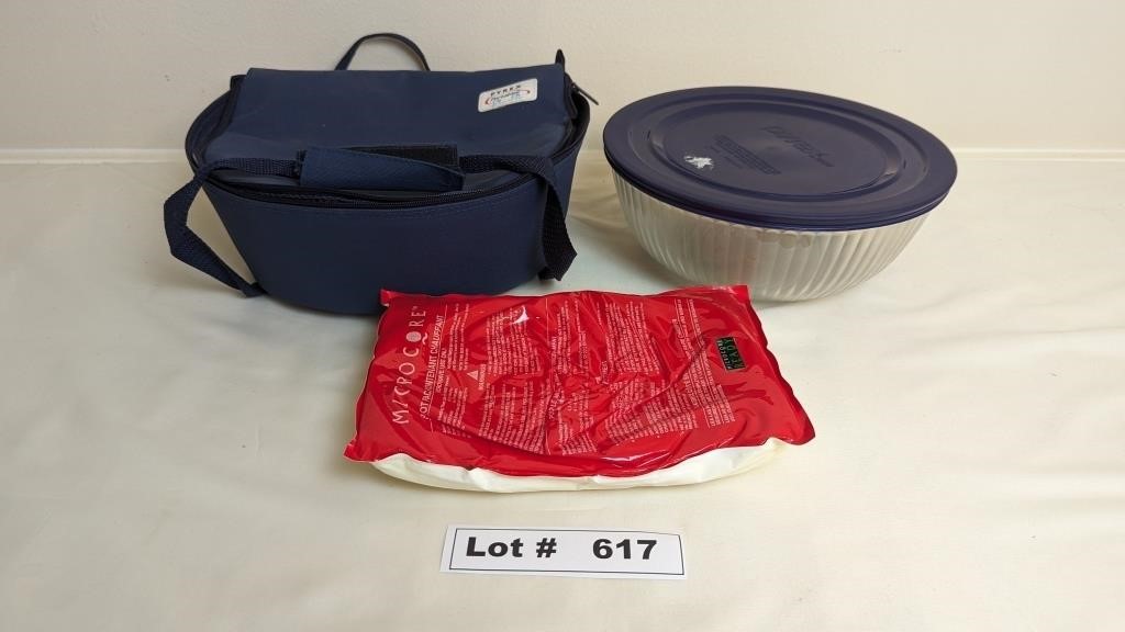 PYREX BOWL AND CARRY CASE WITH ICE PACK