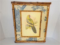 Parakeet framed art work