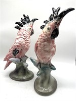 (2) Pink Cockatoo’s Goldscheider- Everplast 14”