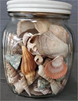 Jar Full of Sea Shells