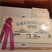 Fair Display Board with Prize Ribbon