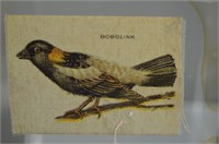 Bobolink Cigarette Card on Linen