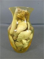 Vase of Assorted Shells