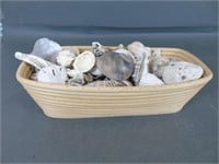 Basket of Assorted Shells