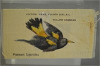 Yellow Cassican Piedmont Cigarette Card on Linen