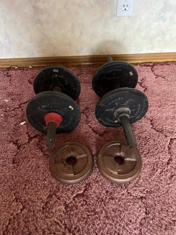 Pair of dumbbells and extra weights