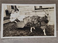 1900s Young Children in Goat Cart