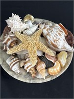 Large Lot Of Shells In Beautiful Bowl