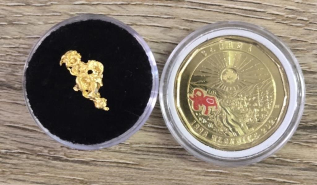 Gold Nugget & Klondike Coin #1