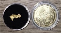 Gold Nugget & Klondike Coin #3