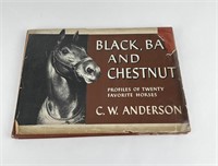 Black Bay And Chestnut