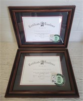 (2) Certificate of Excellence Frames
