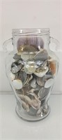 Sea shells in jar